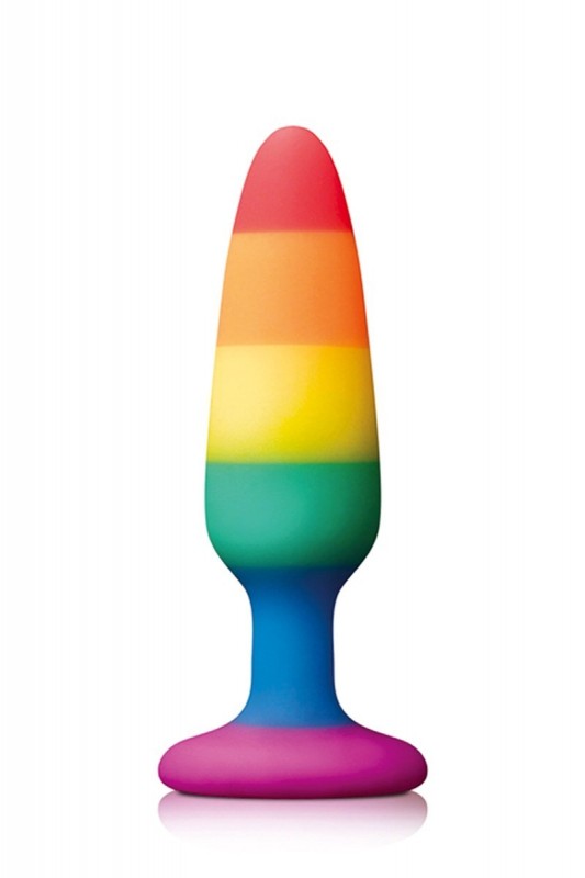 Plug anal Pride Edition Small - Plaisir Anal - MyLibido