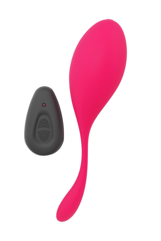 Oeuf vibrant télécommandé Secret Vibe 2 | Dorcel